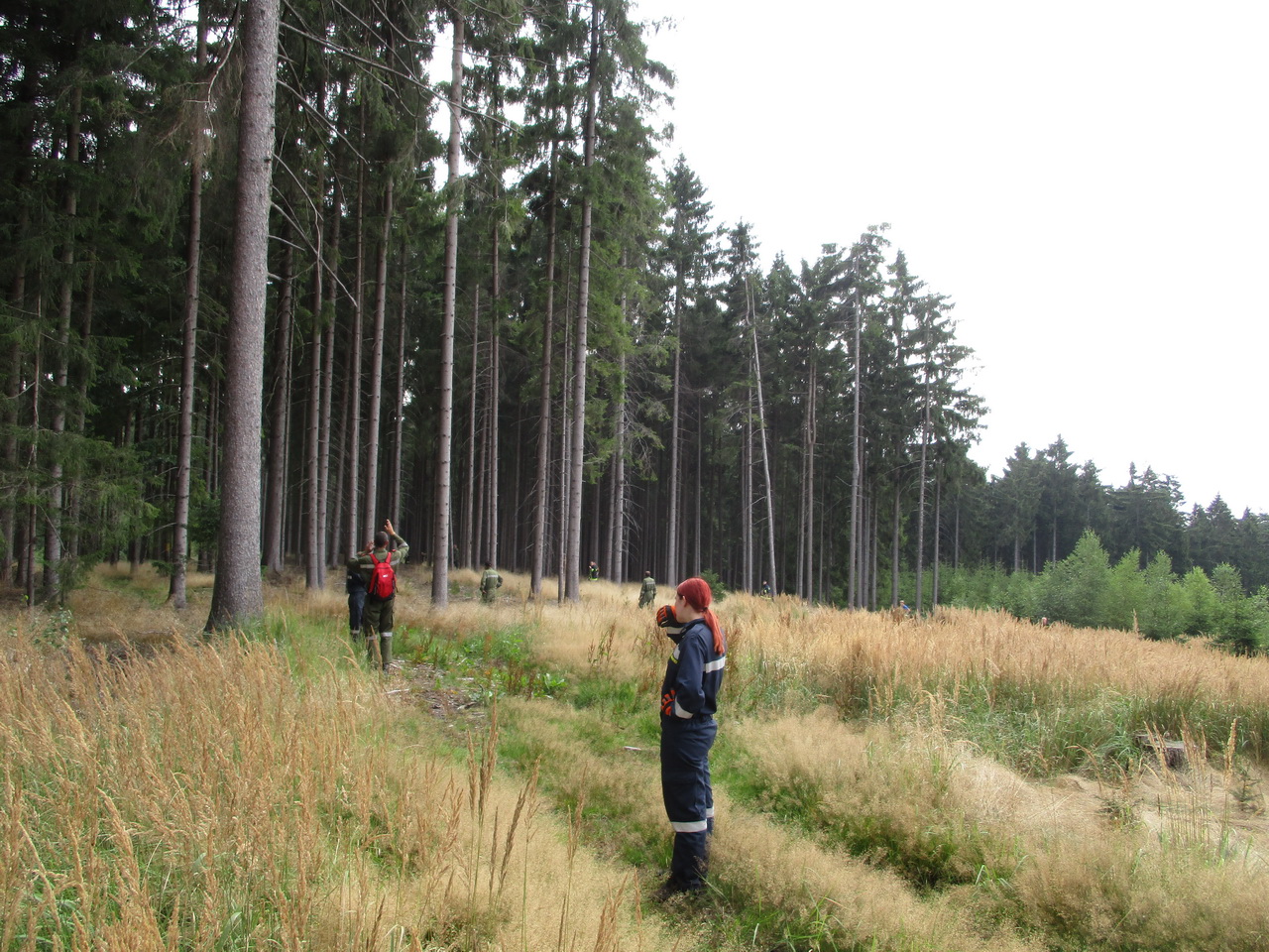 Einsatz-Personensuche-in-Gtzles-20.08.2016-001-4