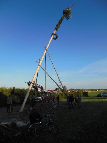 Maibaum aufstellen 30-04-2016 013