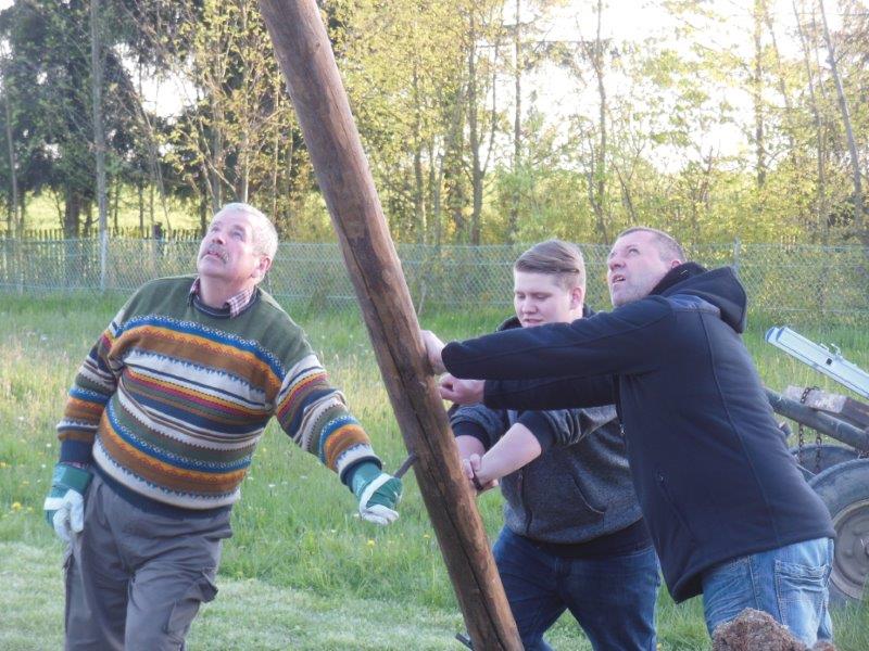 Maibaum aufstellen 30-04-2016 016