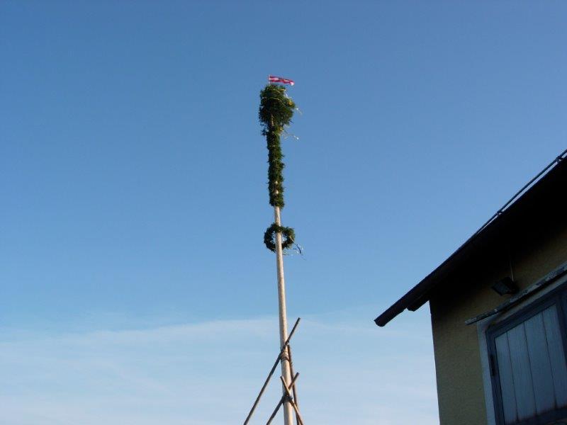 Maibaum aufstellen 30-04-2016 022